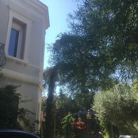 A L'ombre Du Cedre 2*