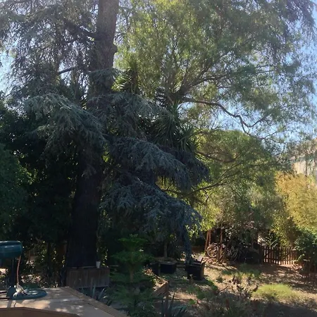 Guest house A L'ombre Du Cedre